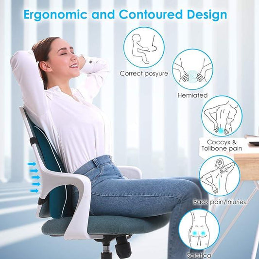 ErgoLux Back Support Cushion - A high-quality memory foam cushion designed to provide firm and comfortable back support. Versatile and ergonomic, suitable for office chairs, wheelchairs, and gaming chairs. Breathable 3D mesh cover, sleek black color, lightweight (1.3 lb), and compact size (17" x 13" x 4.7"). Package includes 1 back cushion and usage instructions.